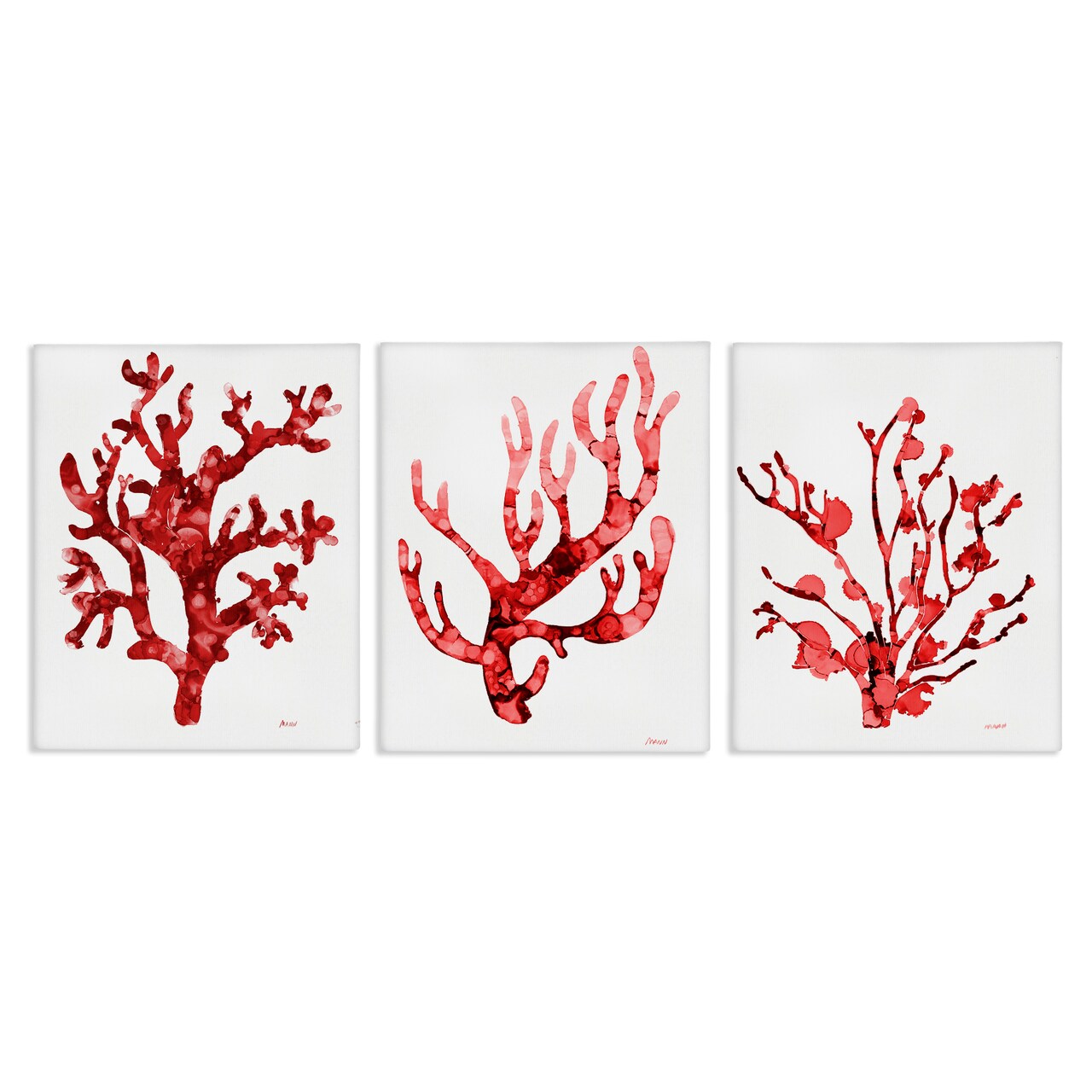 Stupell Industries Bold Red Coral 3pc Canvas Wall Art Set Design by Patti Mann
